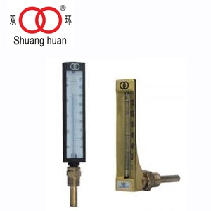 雙環(huán)牌WLY/WLG外標式